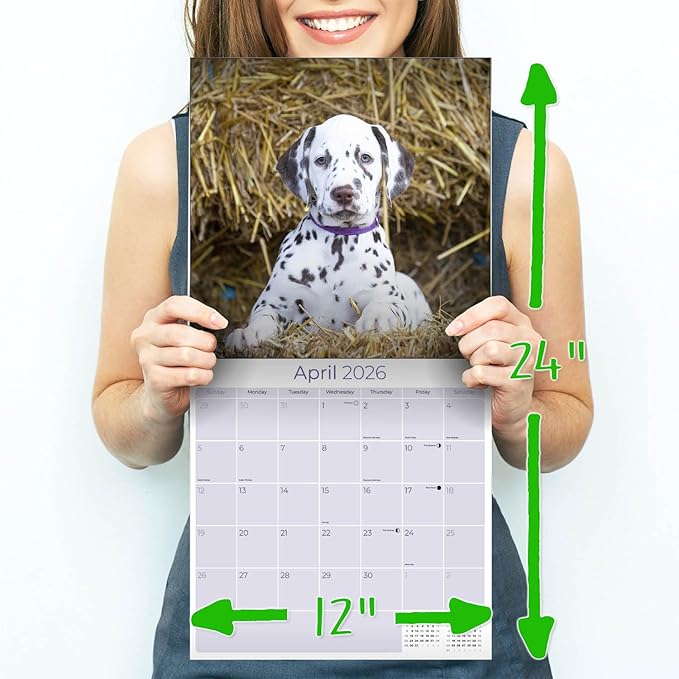 Dalmatian Pups Calendar 2026 by MegaCalendars – Monthly Dog Breed Wall Calendar, Made in USA