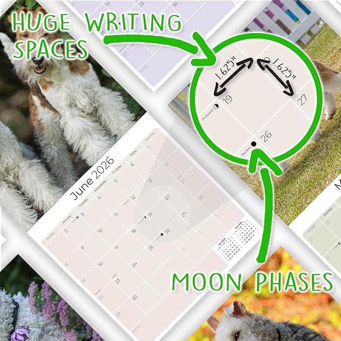Fox Terrier Wirehaired Calendar 2026 by MegaCalendars – Monthly Dog Breed Wall Calendar, Made in USA