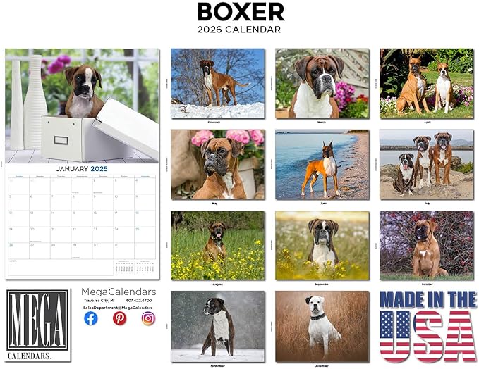 2025 2026 Boxer Calendar - Dog Breed Monthly Wall Calendar - 12" x 18" Open - Thick No-Bleed Paper - Giftable - Academic Teacher's Planner Calendar Organizing & Planning - Made in USA
