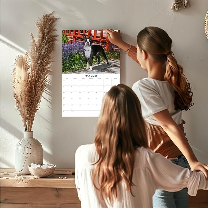 2025 2026 Boston Terrier Calendar - Dog Breed Monthly Wall Calendar - 12" x 18" Open - Thick No-Bleed Paper - Giftable - Academic Teacher's Planner Calendar Organizing & Planning - Made in USA