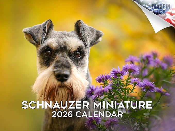 2025 2026 Miniature Schnauzer Calendar - Dog Breed Monthly Wall Calendar - 12" x 18" Open - Thick No-Bleed Paper - Giftable - Academic Teacher's Planner Calendar Organizing & Planning