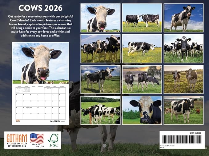 Cow Calendar 2026 Monthly Wall Calender 12 Month | American Made In The USA