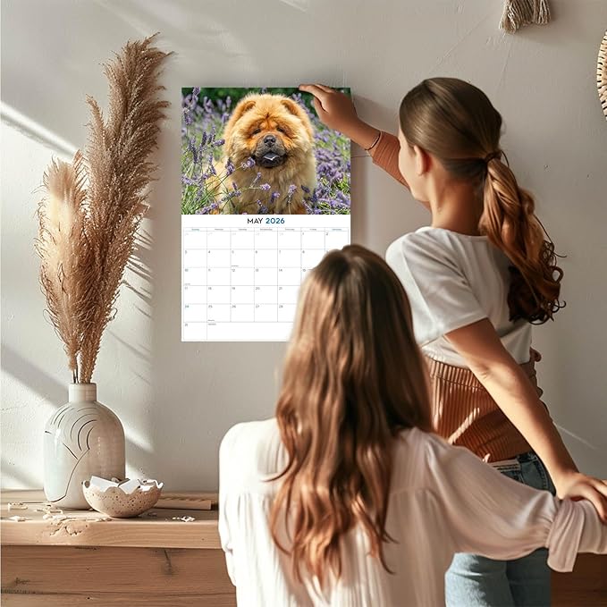 2025 2026 Chow Chow Calendar - Dog Breed Monthly Wall Calendar - 12" x 18" Open - Thick No-Bleed Paper - Giftable - Academic Teacher's Planner Calendar Organizing & Planning - Made in USA