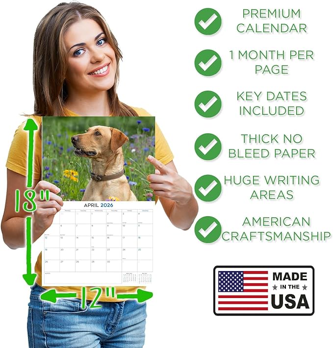 2025 2026 Labrador Yellow Calendar - Dog Breed Monthly Wall Calendar - 12" x 18" Open - Thick No-Bleed Paper - Giftable - Academic Teacher's Planner Calendar Organizing & Planning - Made in USA