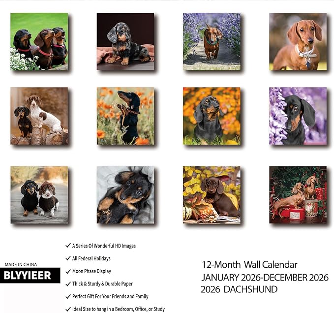 2026 Wall Calendar,Dachshund Wall Calendar, 12" x 24" Open,Family Planner Calendar Organizer with Dachshund Images, for Dogs Lovers