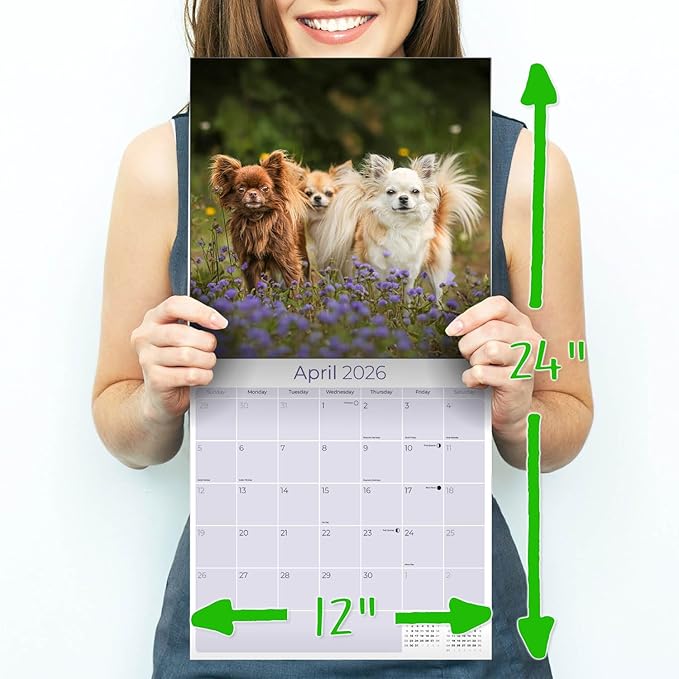 Chihuahua Calendar 2026 by MegaCalendars – Monthly Dog Breed Wall Calendar, Made in USA