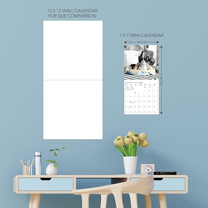 Graphique 2026 Classic Cats Mini Wall Calendar | 7” x 7” | Thick Paper | Home & Office Organizer | Large Monthly Grid | 3 Languages & Marked Holidays | 4 Month Preview Page for 2027