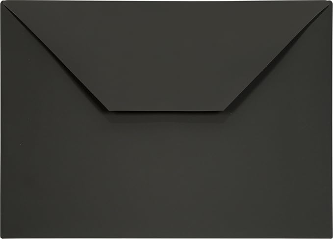 Lion Design-R-Line Poly Envelope, 9-3/8 x 13 Inches, Opaque Charcoal Gray (Black), 1 Envelope (22080-CG)