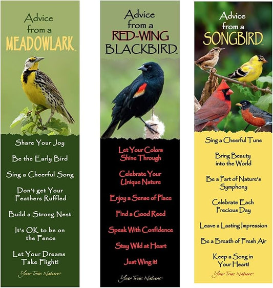 Advice 3 Bookmark Songbird Set, Laminated with Glossy Finish, Printed on Recycled Paper, Meadowlark, Red-Wing Blackbird, Song Bird (AMBM-BIRDS26)