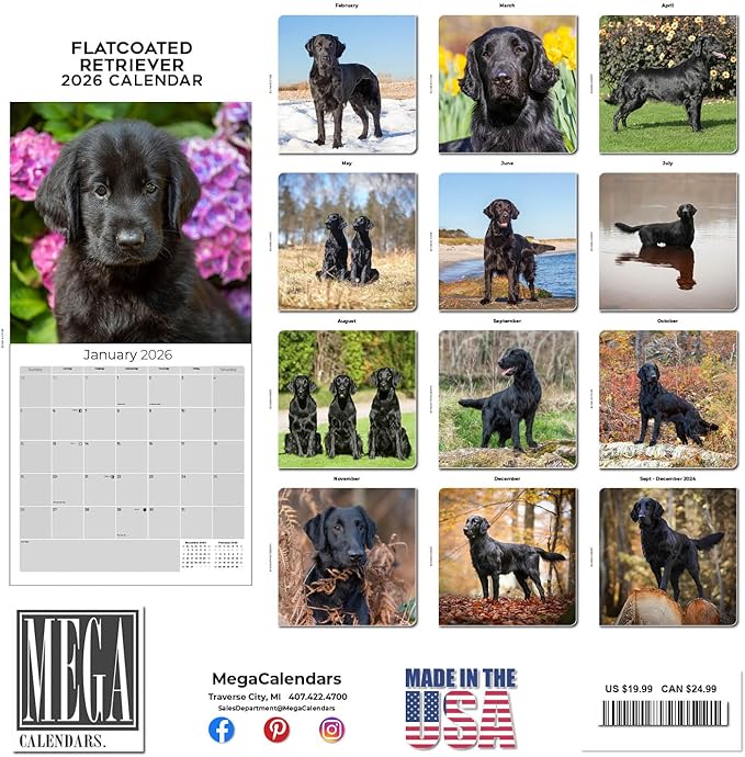 Flatcoated Retriever Calendar 2026 by MegaCalendars – Monthly Dog Breed Wall Calendar, Made in USA