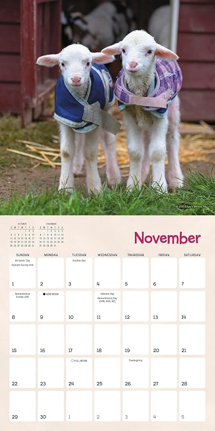 Lambies in Jammies & Goats in Coats 2026 Mini Wall Calendar, Cute Farm Animal Photography from Edgar’s Mission Rescue, 7" x 7"