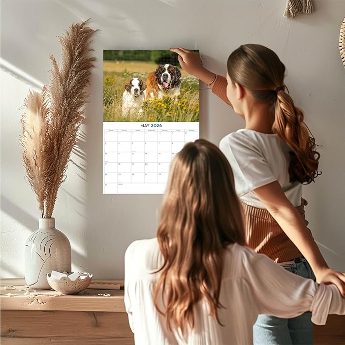 2025 2026 Saint Bernard Calendar - Dog Breed Monthly Wall Calendar - 12" x 18" Open - Thick No-Bleed Paper - Giftable - Academic Teacher's Planner Calendar Organizing & Planning - Made in USA