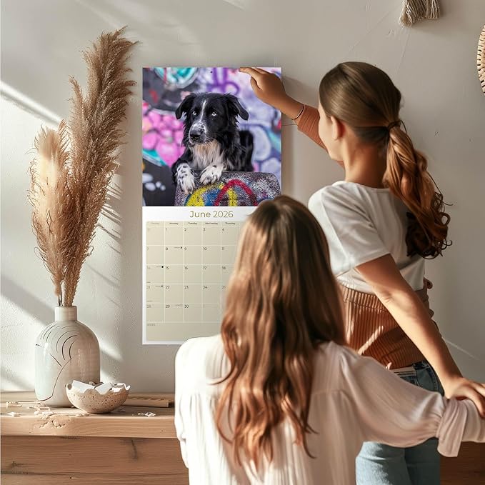 Australian Shepherd Calendar 2026 – 16-Month Dog Breed Wall Calendar by MegaCalendars – Large Daily Blocks, Thick No-Bleed Paper, Made in USA