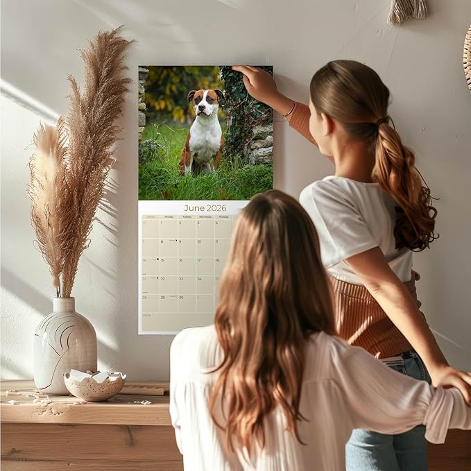 American Staffordshire Terrier Calendar 2026 by MegaCalendars – Monthly Dog Breed Wall Calendar, Made in USA