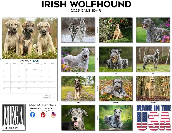 2025 2026 Irish Wolfhound Calendar - Dog Breed Monthly Wall Calendar - 12" x 18" Open - Thick No-Bleed Paper - Giftable - Academic Teacher's Planner Calendar Organizing & Planning - Made in USA