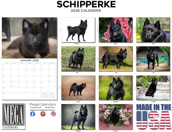 2025 2026 Schipperke Calendar - Dog Breed Monthly Wall Calendar - 12" x 18" Open - Thick No-Bleed Paper - Giftable - Academic Teacher's Planner Calendar Organizing & Planning - Made in USA