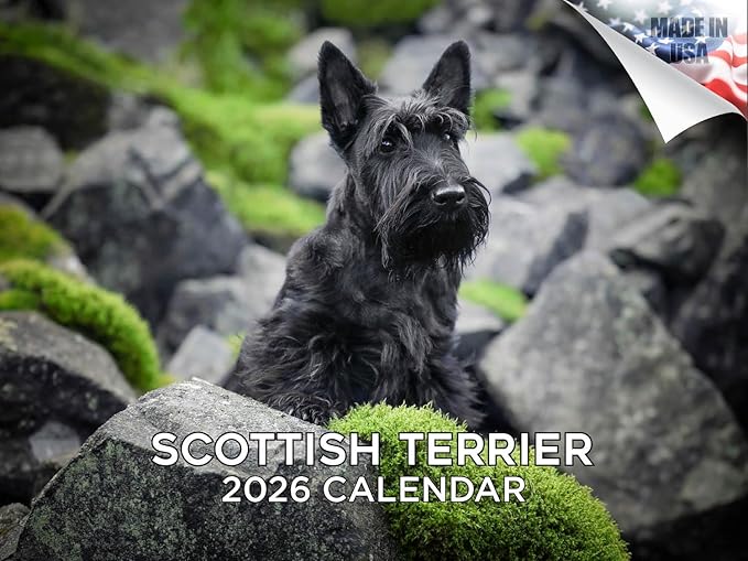 2025 2026 Scottish Terrier Calendar - Dog Breed Monthly Wall Calendar - 12" x 18" Open - Thick No-Bleed Paper - Giftable - Academic Teacher's Planner Calendar Organizing & Planning - Made in USA