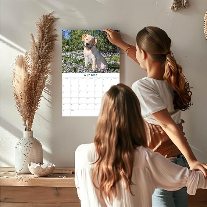 2025 2026 Labrador Pups Yellow Calendar - Dog Breed Monthly Wall Calendar - 12" x 18" Open - Thick No-Bleed Paper - Giftable - Academic Teacher's Planner Calendar Organizing & Planning - Made in USA