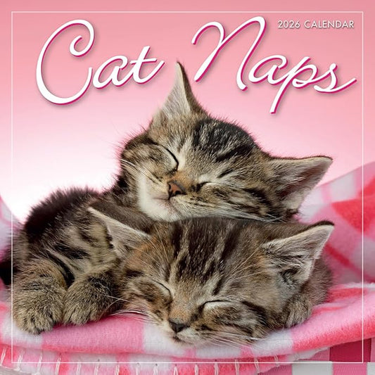 Cat Naps 2026 Mini Wall Calendar, Cute & Funny Cat Photography, 7" x 7"