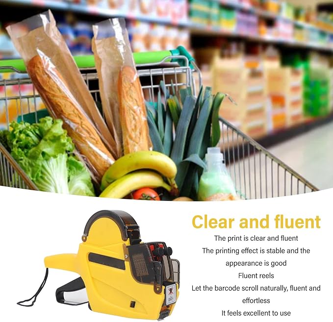 Bewinner Price Gun, Professional 2 Line 10 Digits Price Label Gun, Pricing Tag Gun with 5 Rolls Labels & Ink Cartridge, Price Sticker Gun kit for Office, Retail Shop, Grocery Store