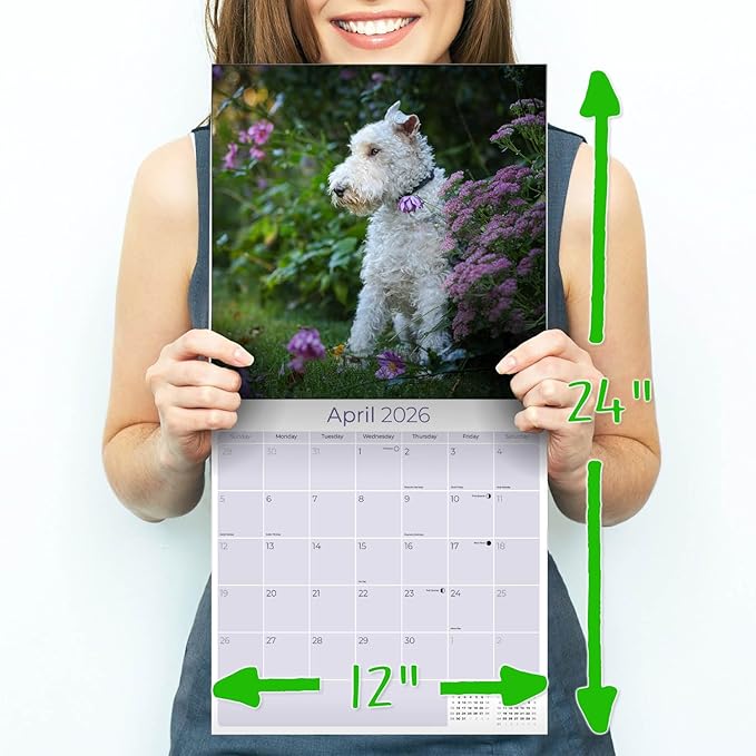 Fox Terrier Wirehaired Calendar 2026 by MegaCalendars – Monthly Dog Breed Wall Calendar, Made in USA