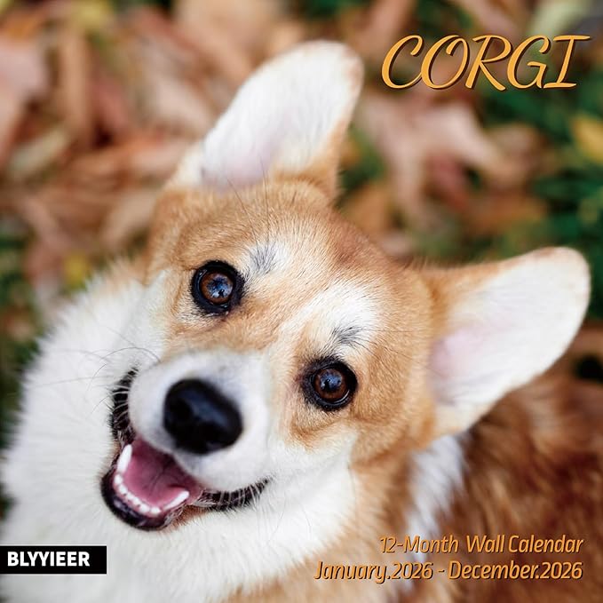 2026 Wall Calendar,Corgi Wall Calendar, 12" x 24" Open,Family Planner Calendar Organizer with Corgi Images, for Dogs Lovers