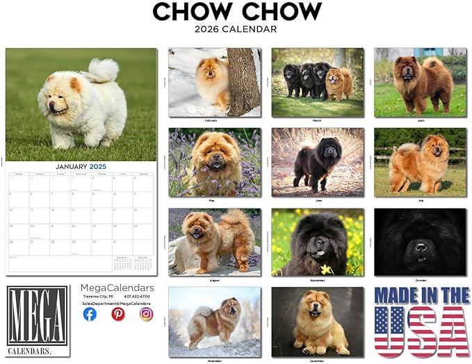 2025 2026 Chow Chow Calendar - Dog Breed Monthly Wall Calendar - 12" x 18" Open - Thick No-Bleed Paper - Giftable - Academic Teacher's Planner Calendar Organizing & Planning - Made in USA