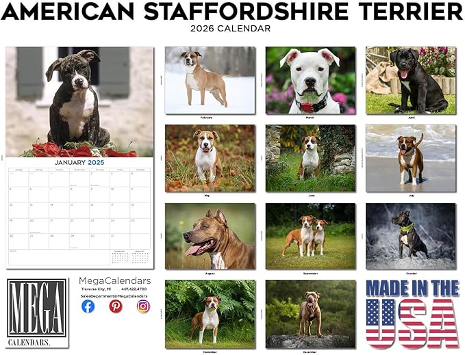 2025 2026 American Staffordshire Terrier Calendar - Dog Breed Monthly Wall Calendar - 12" x 18" Open - Thick No-Bleed Paper - Giftable - Academic Teacher's Planner Calendar Organizing & Planning - Made in USA
