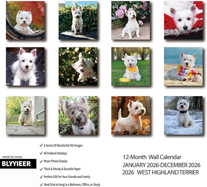2026 Wall Calendar,West highland terrier Wall Calendar, 12" x 24" Open,Family Planner Calendar Organizer with West highland terrier Images, for Dogs Lovers