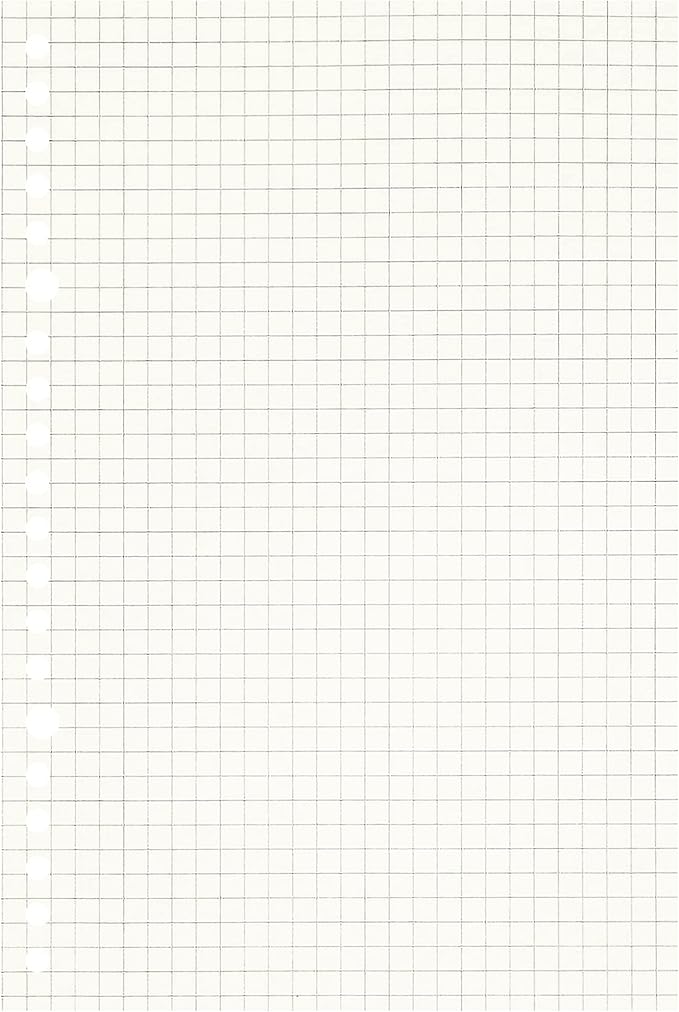 Zelten Loose Leaf Punched Paper Refills Paper for Personal Organizer Diary Notebook Refillable Planner (Squared, A5/20 Hole)