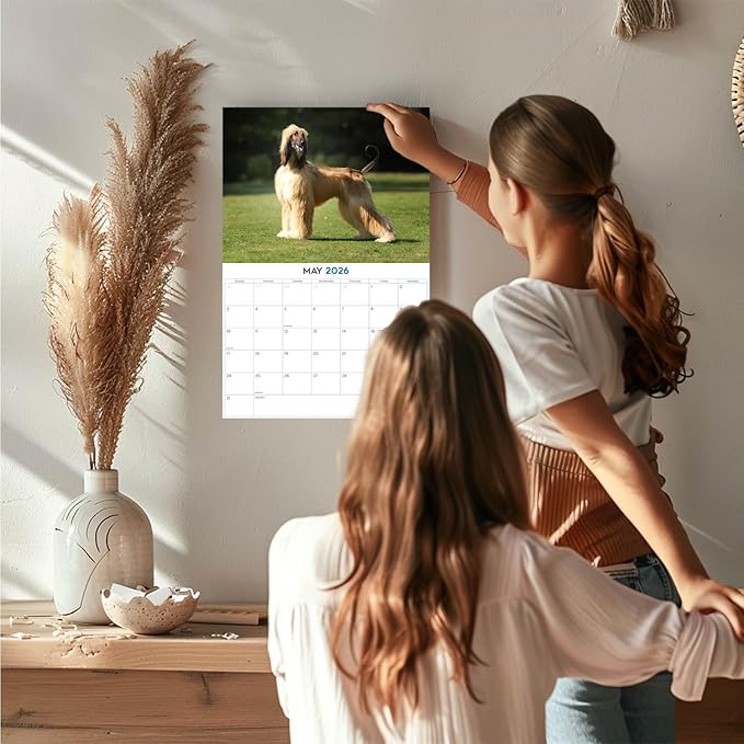 2025 2026 Afghan Hound Calendar - Dog Breed Monthly Wall Calendar - 12" x 18" Open - Thick No-Bleed Paper - Giftable - Academic Teacher's Planner Calendar Organizing & Planning - Made in USA