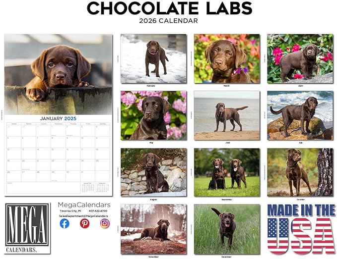2025 2026 Labrador Chocolate Calendar - Dog Breed Monthly Wall Calendar - 12" x 18" Open - Thick No-Bleed Paper - Giftable - Academic Teacher's Planner Calendar Organizing & Planning - Made in USA