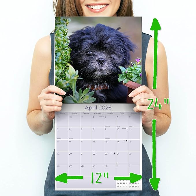 2025 2026 Lhasa Apso Calendar - Dog Breed Monthly Wall Calendar - 12" x 24" Open - Thick No-Bleed Paper - Giftable - Academic Teacher's Planner Calendar Organizing & Planning - Made in USA