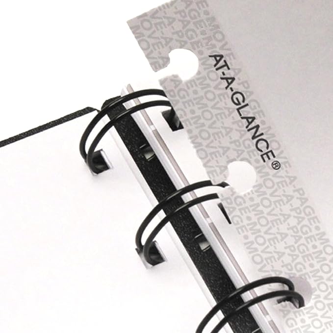 AT-A-GLANCE 2027 Appointment Book Planner, Weekly & Monthly, 8.75" x 11", Quarter-Hourly, Move-A-Page, Black (70950E0527)