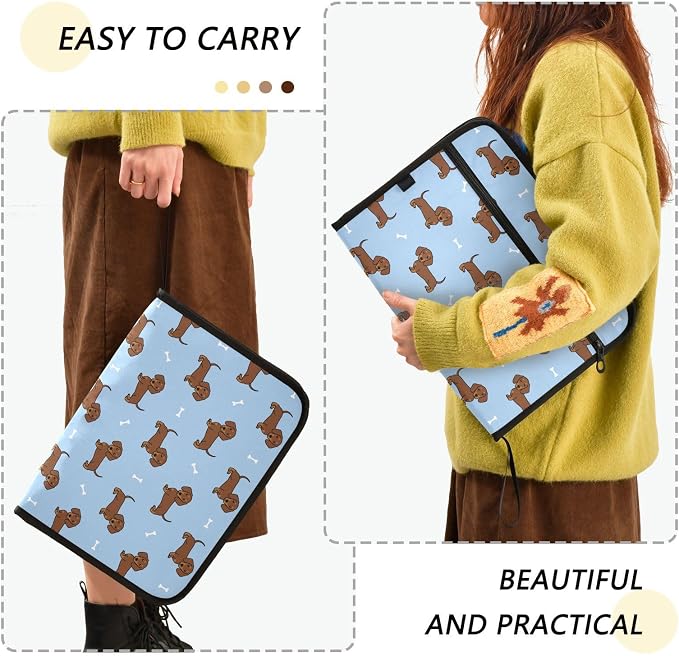 Dachshund Dog Cartoon File Folders,Plastic Folders with 13 Pockets,Expandable File Folder for Documents School Students Office,Aesthetic Folder with Labels A4 Letter Size