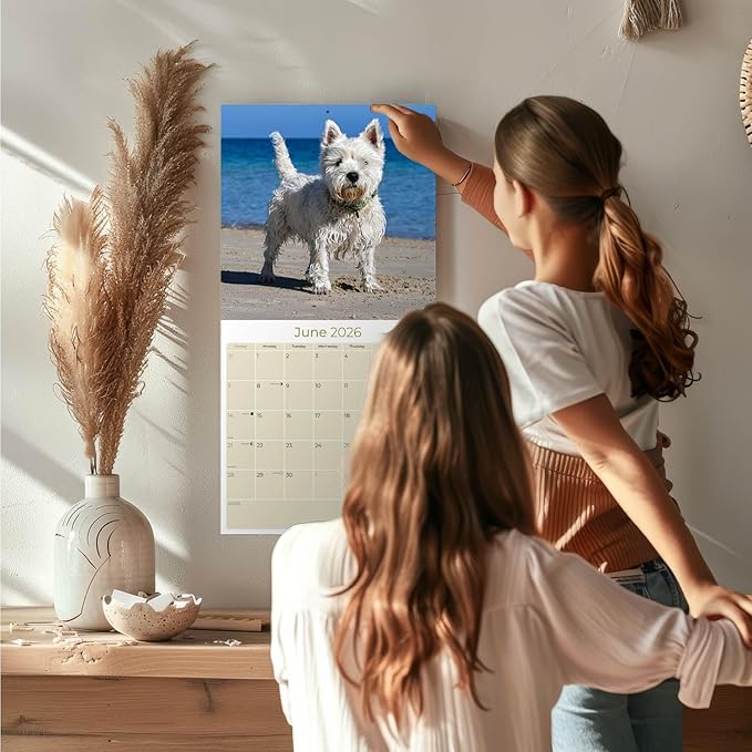 West Highland Terrier Calendar 2026 by MegaCalendars – Monthly Dog Breed Wall Calendar, Made in USA