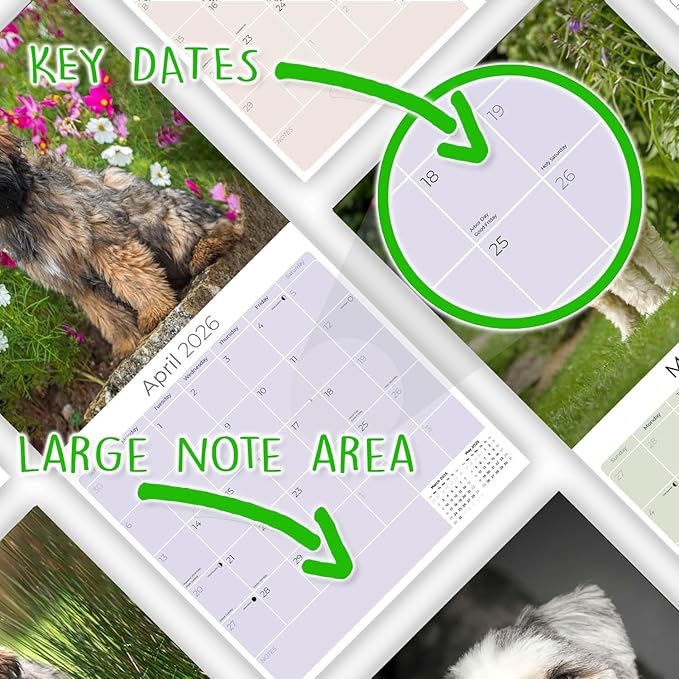 Tibetan Terrier Calendar 2026 by MegaCalendars – Monthly Dog Breed Wall Calendar, Made in USA