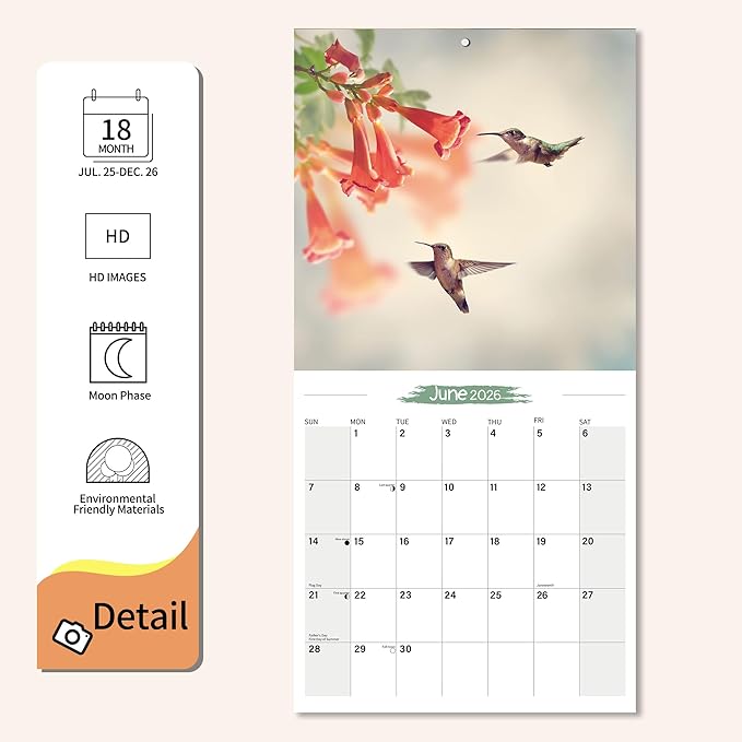 2025-2026 Wall Calendar Hummingbird Planner Calendar, Hangable Monthly Wall Calendar with Large Blocks for Organizing & Planning, Academic Schedule, Home, Office & family, Thick & Sturdy Paper (12"x24" Open)