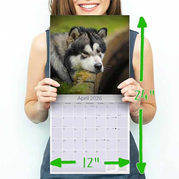 Alaskan Malamute Calendar 2026 by MegaCalendars – Monthly Dog Breed Wall Calendar, Made in USA