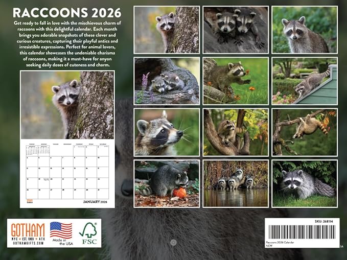 Raccoon Calendar 2026 Wall 12 Month Raccoons Gifts For Racoon Lovers Women Men Monthly Calender | American Made In The USA