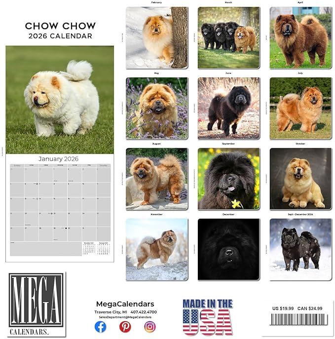 Chow Chow Calendar 2026 by MegaCalendars – Monthly Dog Breed Wall Calendar, Made in USA