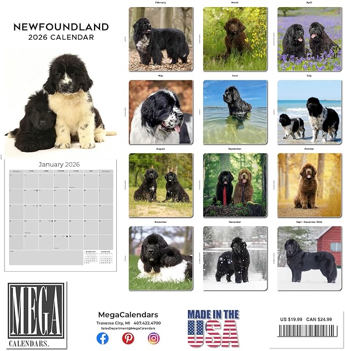 Newfoundland Calendar 2026 – 16-Month Dog Breed Wall Calendar by MegaCalendars – Large Daily Blocks, Thick No-Bleed Paper, Made in USA