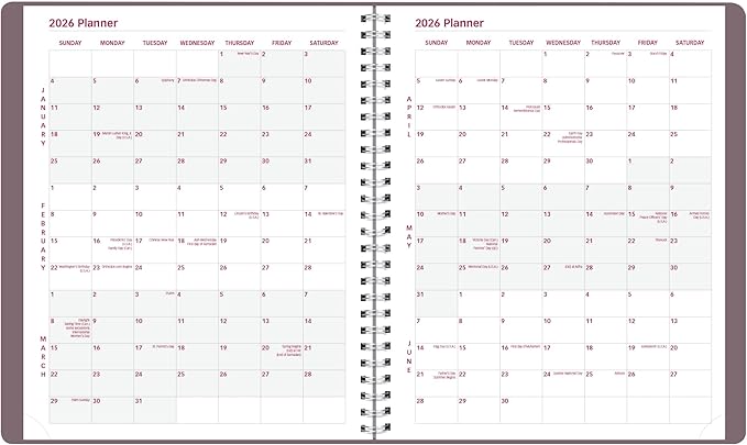 Brownline® 2026 Essential Monthly Planner, 14 Months, December 2025 to January 2027, Twin-Wire Binding, 8.875" x 7.125", Canyon (CB1200G.04-26)