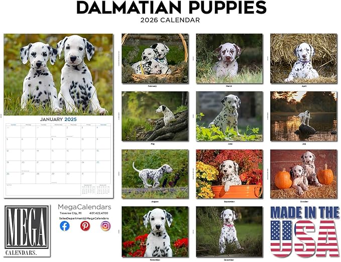 2025 2026 Dalmatian Pups Calendar - Dog Breed Monthly Wall Calendar - 12" x 18" Open - Thick No-Bleed Paper - Giftable - Academic Teacher's Planner Calendar Organizing & Planning - Made in USA