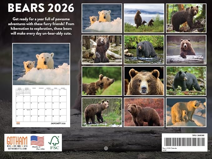 Bear Calendar 2026 Wall 12 Month Bears Gifts For Bear Lovers Women Men Monthly Calender| American Made In The USA