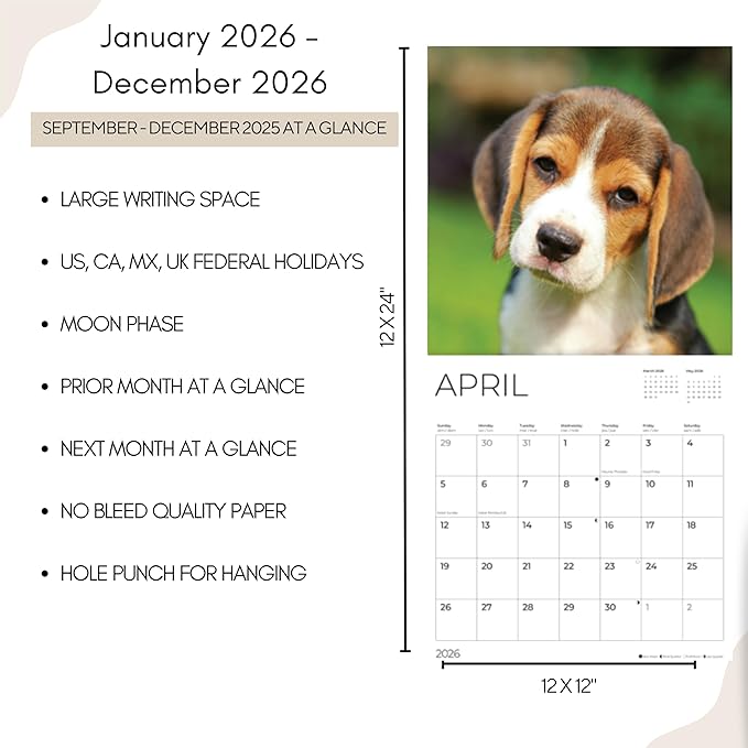 Beagle Puppy 2026 Wall Calendar | 12" x 24" Open | Dog Calendar Photography Thick & Sturdy Paper for Planning | Office Kitchen Decor or Gift | Pacific Waters Press (Beagle Puppies)
