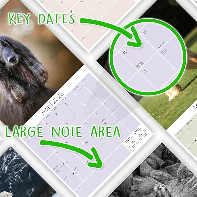 Afghan Hound Calendar 2026 - Monthly Dog Breed Wall Calendar, 12x24 Open, Thick No-Bleed Paper, Made in USA by MegaCalendars