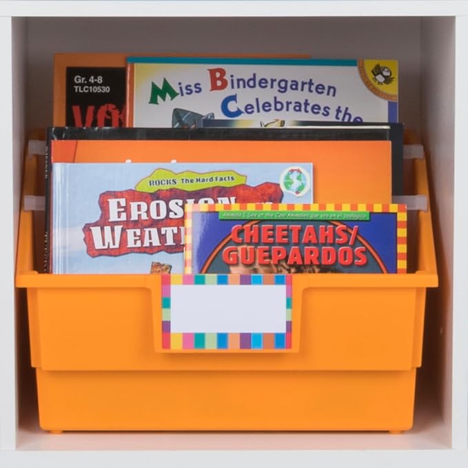 Really Good Stuff 12-Pack Single-Color Picture Book Classroom Library Bins with Dividers