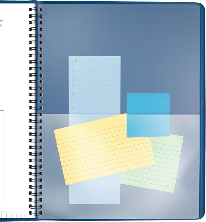 AT-A-GLANCE 2026 Appointment Book Planner, Weekly, 8-1/4" x 11", Large, Blue (709402026)