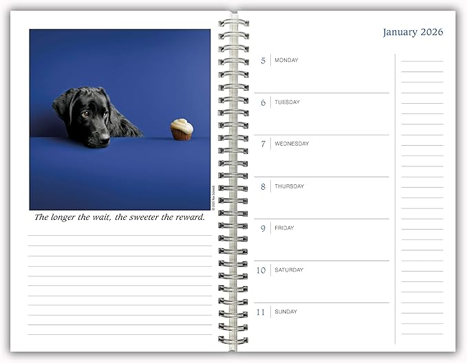 Dogma 2026 Weekly & Monthly Planner, 12-Month Calendar Book with Funny Dog Photography: A Dog’s Guide to Life, 2026